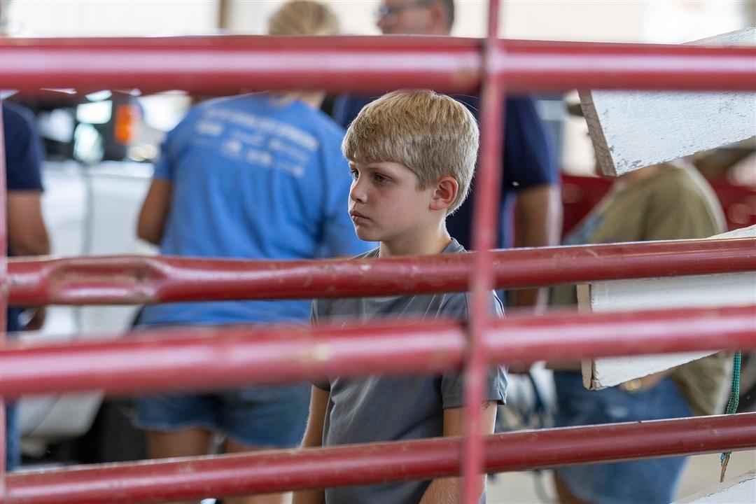 William Rister of Frierson, La., watches closely as live data is collected on his steer during Carcass Contest Check-In. The competition is one of several educational events designed to help young cattle producers develop practical beef industry knowledge.