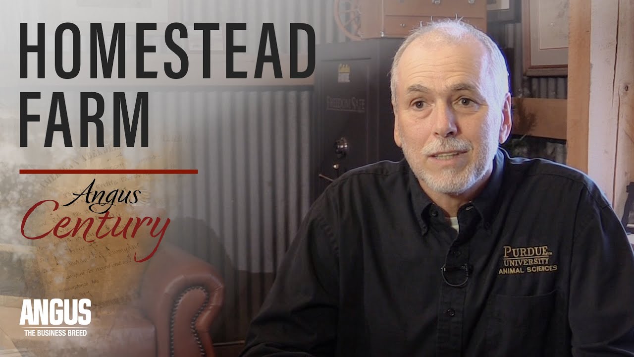 Homestead Farm Angus Century Award winner