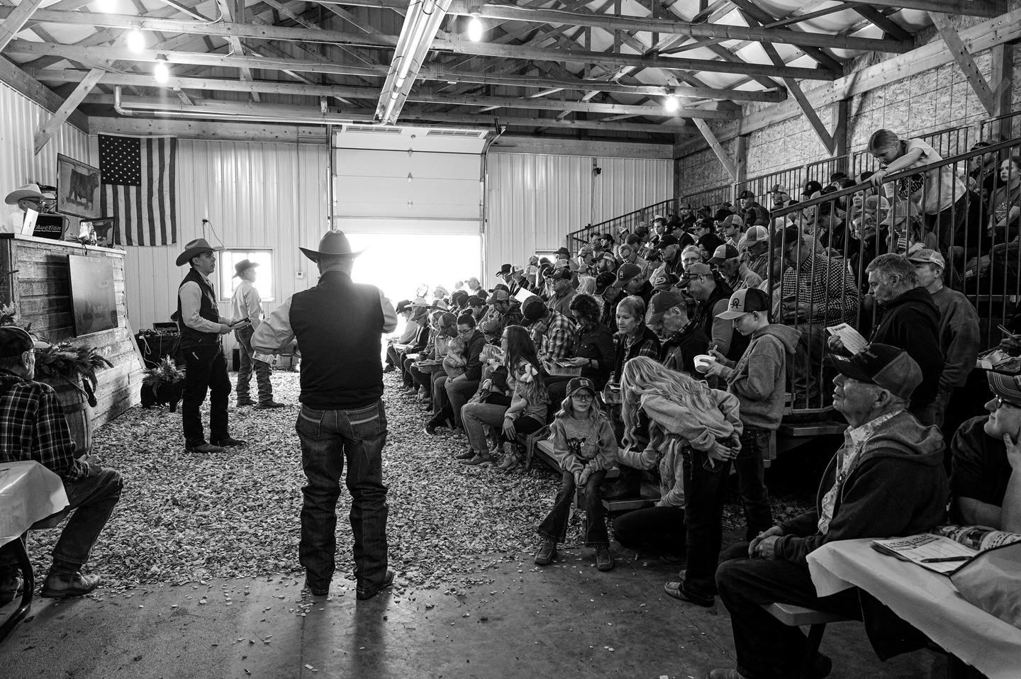 auction
