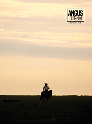 Current Angus Journal Issue Cover