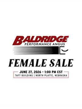 Baldridge Performance Angus Sale Book Cover