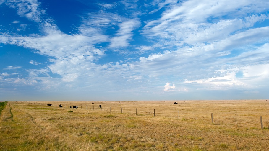 Wide open Landscape