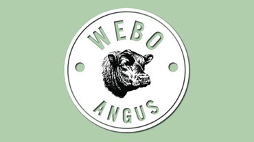 WEBO