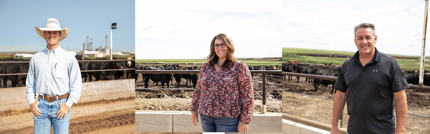 Three photos of two men and a woman standing in front of a feedyard 