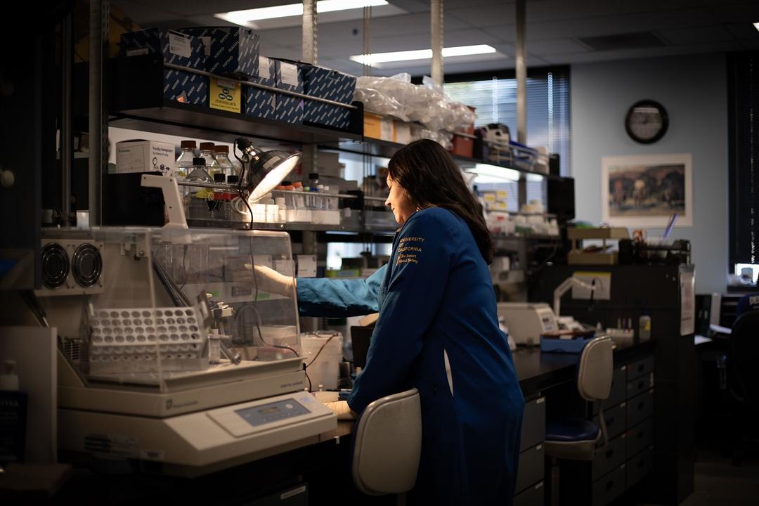 Young woman looking through a microscope in a scientific lab.