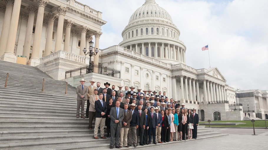 A group of YCC attendees standing on the steps of the capital in Washington, D.C.