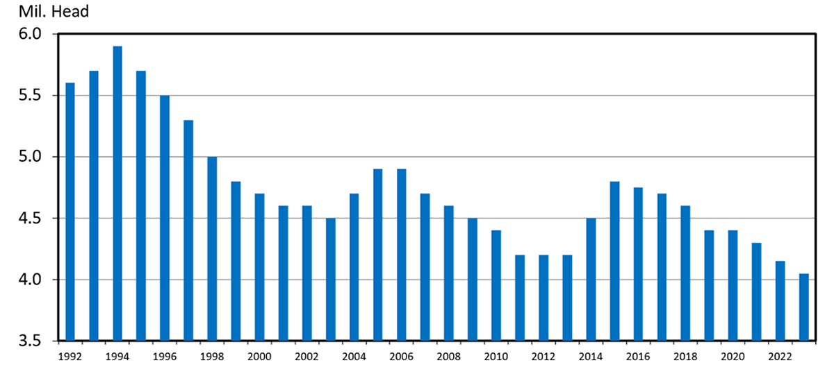 bar graph