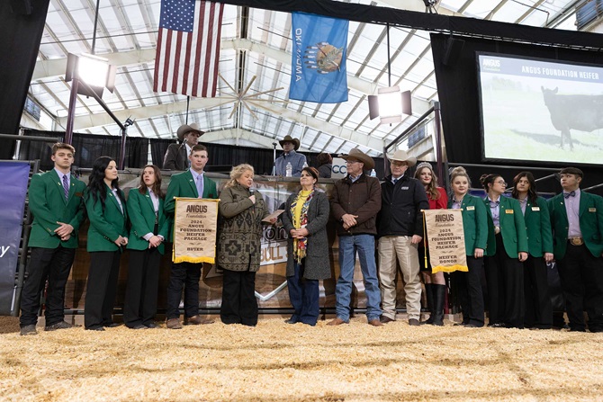 2024 Angus Foundation Heifer Package