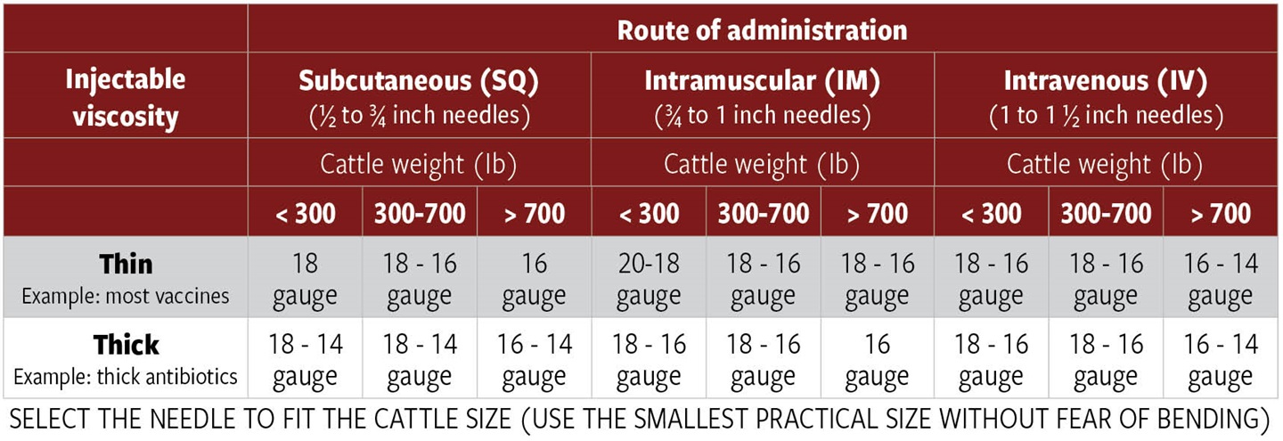 Table on Route of administration