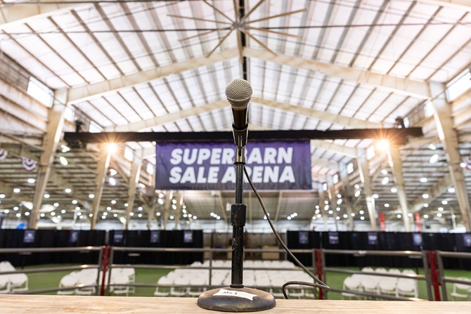 2025 Foundation Heifer Package Sale Event