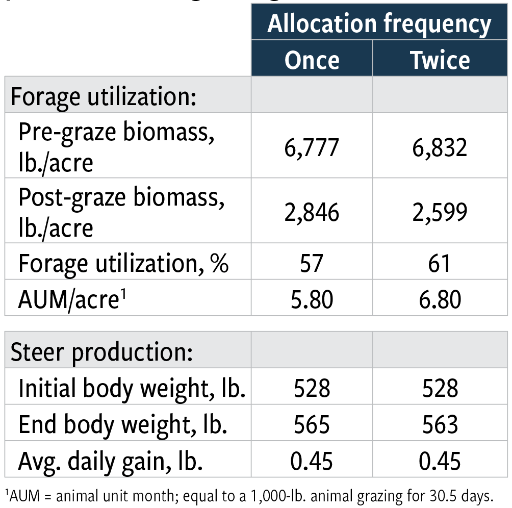 Table 1: Effect of strip-grazing swathed sorghum-sudangrass, allocating new forage once or twice per week, on utilization and performance of growing steers