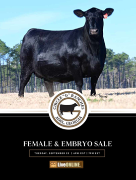 Circle G Ranches Sale Book Cover