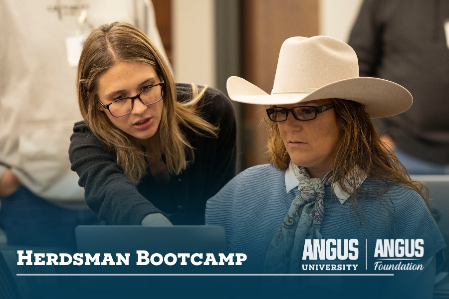 Angus team members work alongside Herdsman Bootcamp attendees to provide helpful, hands-on instruction to understand Angus programs and tools.