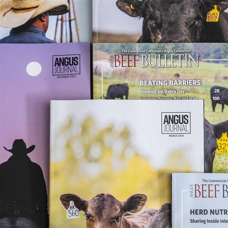 Angus Journal and Angus Beef Bulletin Covers