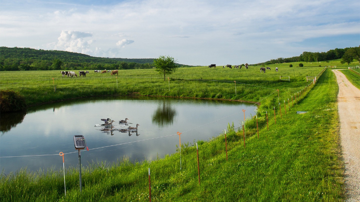 pond fencing