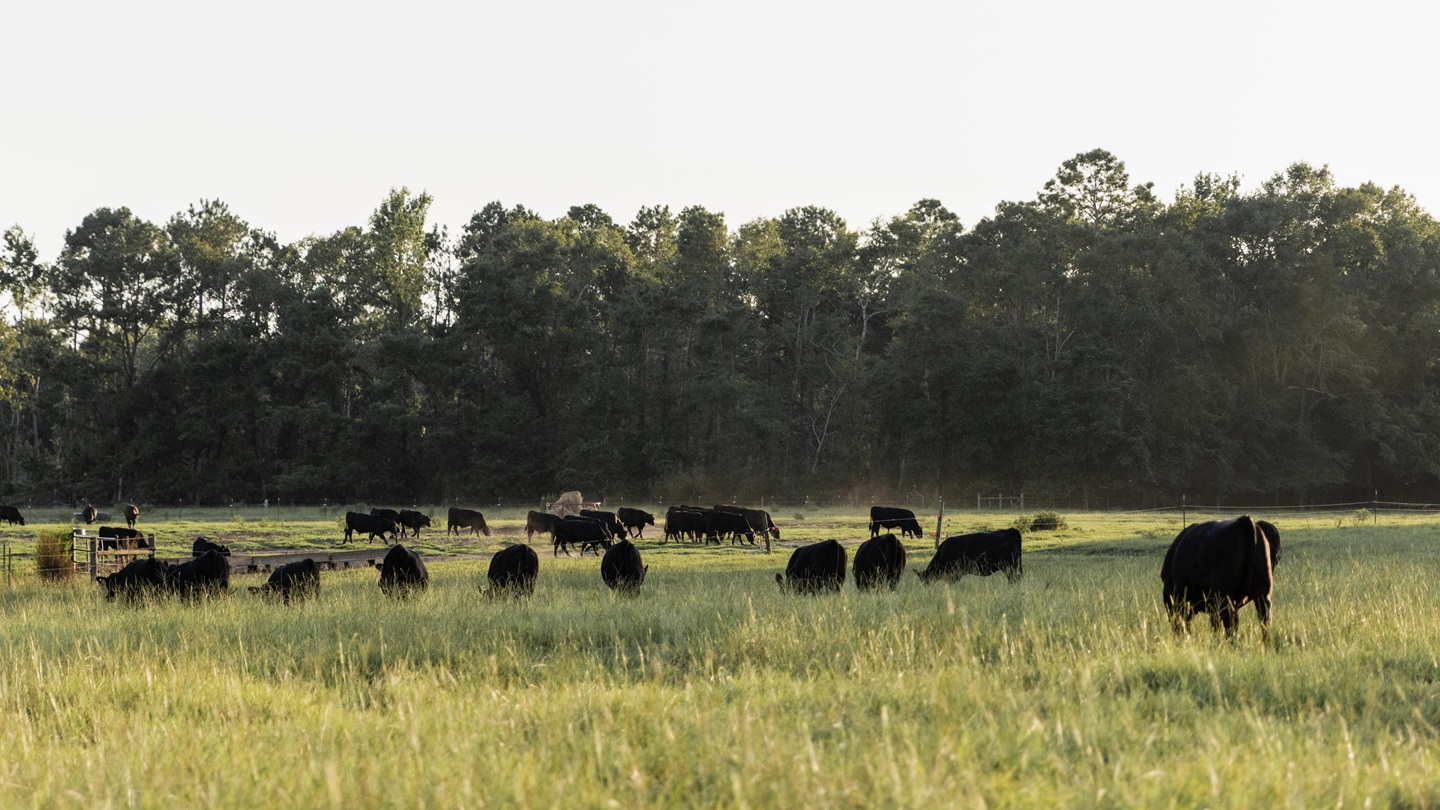 0226-landstewarship16x9