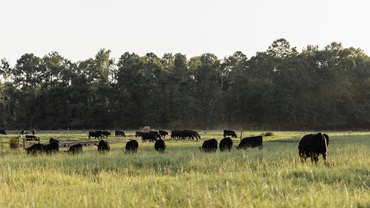 0226-landstewarship16x9