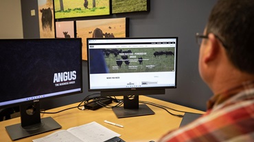 Person using Angus website