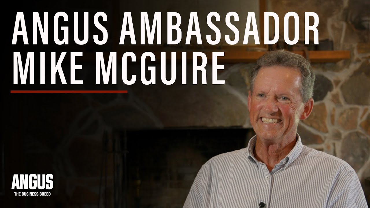 Mike McGuire - Angus Ambassador of the Year award winner 2024