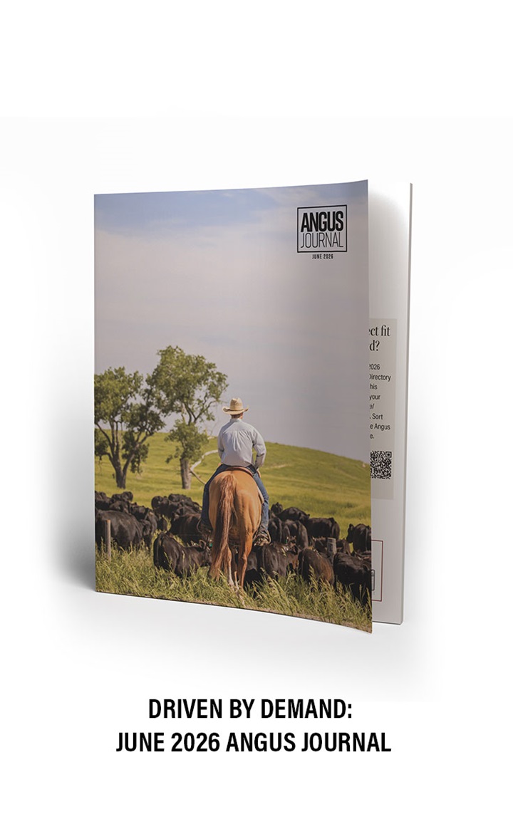 Angus Journal