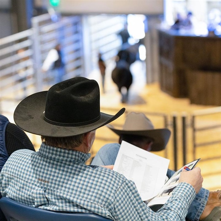 A man in a cowboy hat looking at a sale catalog at a cattle sale.