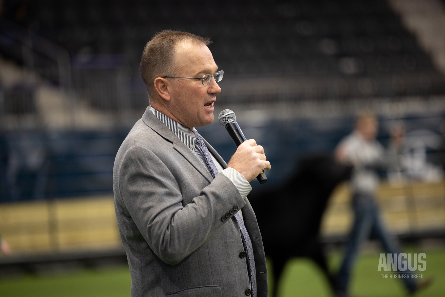 The Angus Conversation