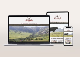 Little Goose Website Designed by Angus Media