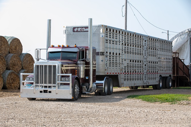 4K Cattle semi truck