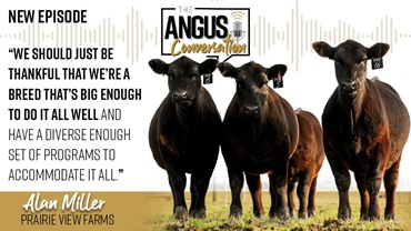 The Angus Conversation