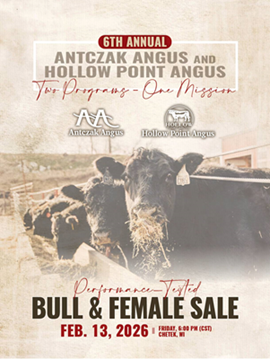 Antczak Angus Sale Book Cover