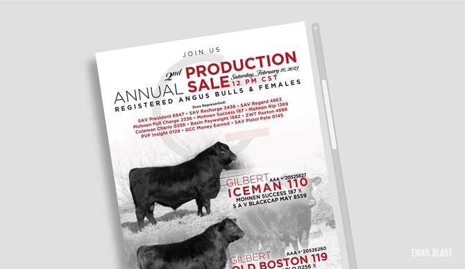 Gibert Cattle Email Blast Designed by Angus Media