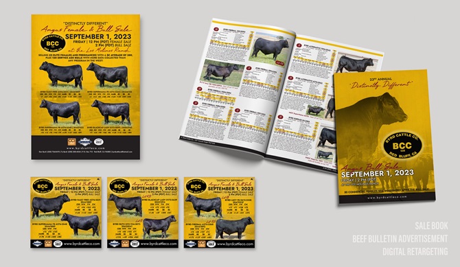 Byrd Cattle Integrated Marketing Materials Designed by Angus Media