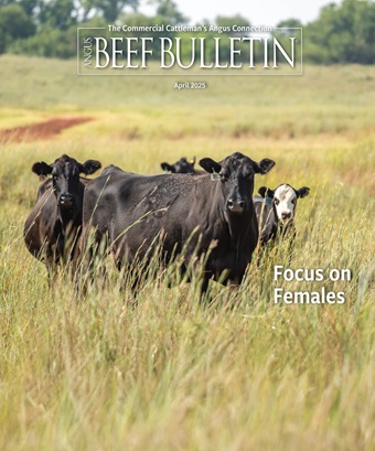 April 2025 ABB cover