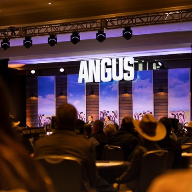 Attendees look towards the stage at the Annual Angus Convention. 