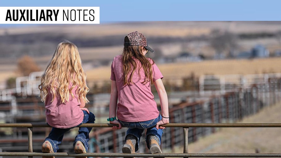 Auxiliary notes