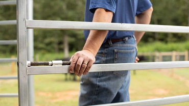 Man's hand resting on gate.