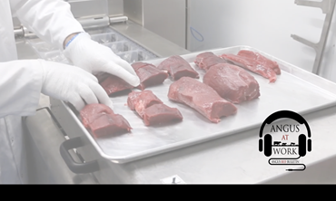 Beef arranged on a tray in a cooler with a person's hands. 