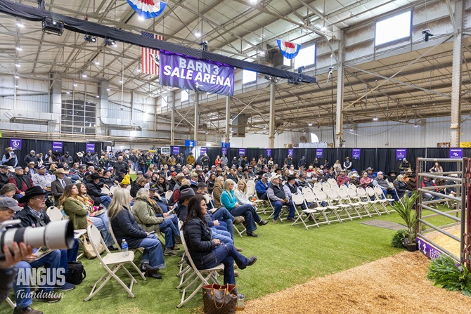 The crowd looks on towards the sale ring at the 2026 Angus Foundation Heifer package.