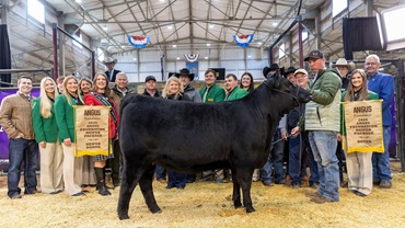 Express Angus Ranches of Yukon, Oklahoma; Nowatzke Cattle/Maple Lane of Michigan City, Indiana and Pollard Farms of Waukomis, Oklahoma purchases WILKS Rita 4728 at the National Angus Bull Sale in Oklahoma City.