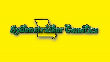 Sydenstricker Genetics