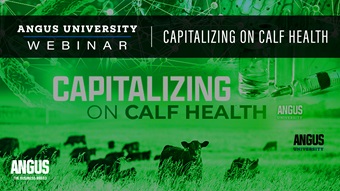 Capitalizing on calf health webinar thumbnail