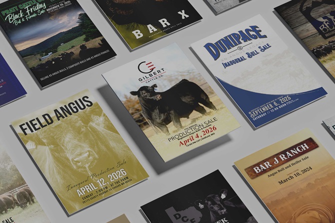 Sale Books Designed by Angus Media