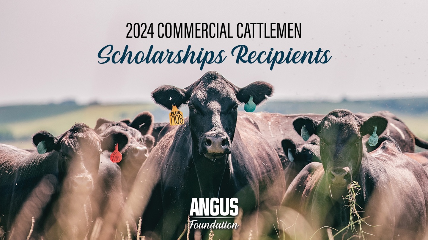 2024 Commercial Cattlemen Scholarship Recipients graphic