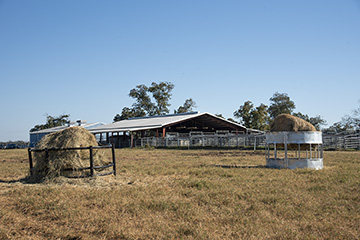 Polypipe-feeder-and-cone-feeder