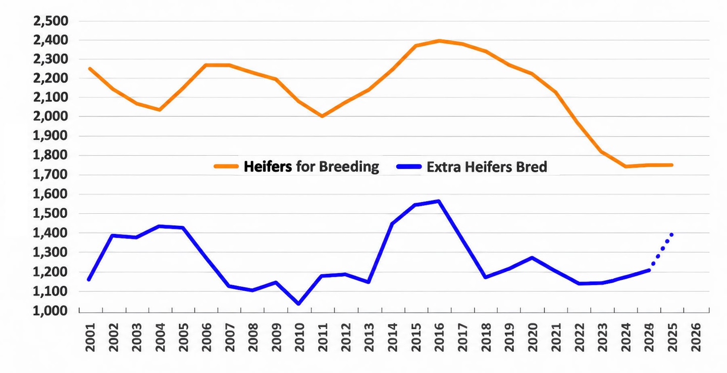 Fig. 2: Heifers for breeding and impulse heifer breeding, 1,000 head