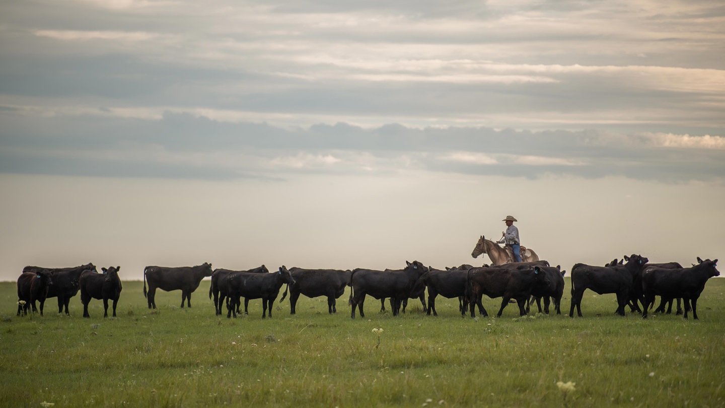 0625-SymphonyKS-JM-30