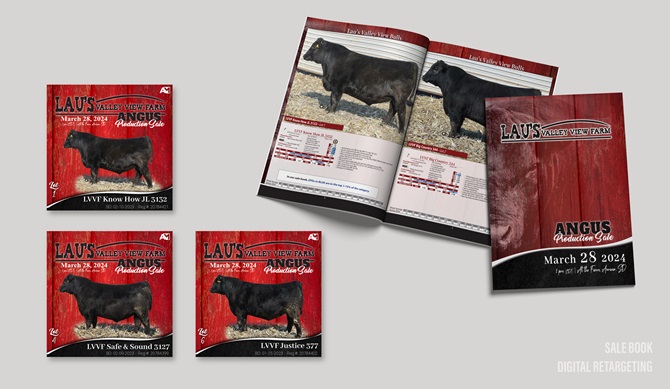 Laus Valley View Integrated Marketing Materials Designed by Angus Media