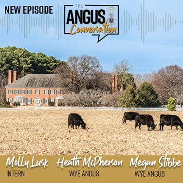 The Angus Conversation