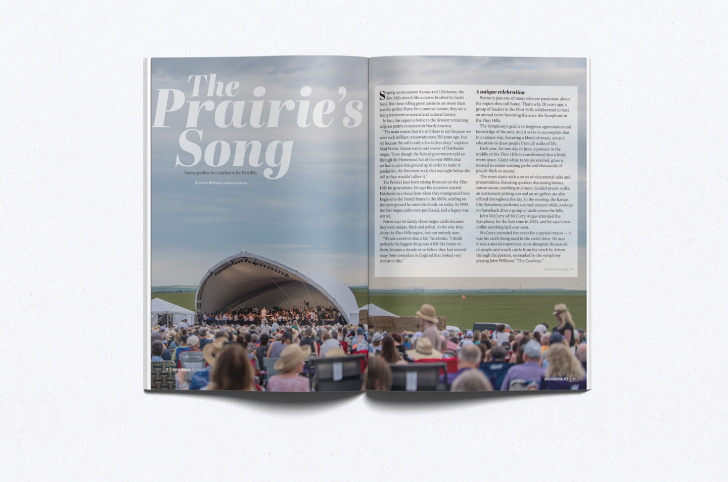 The Prairie's Song story mock up