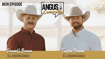 The Angus Conversation